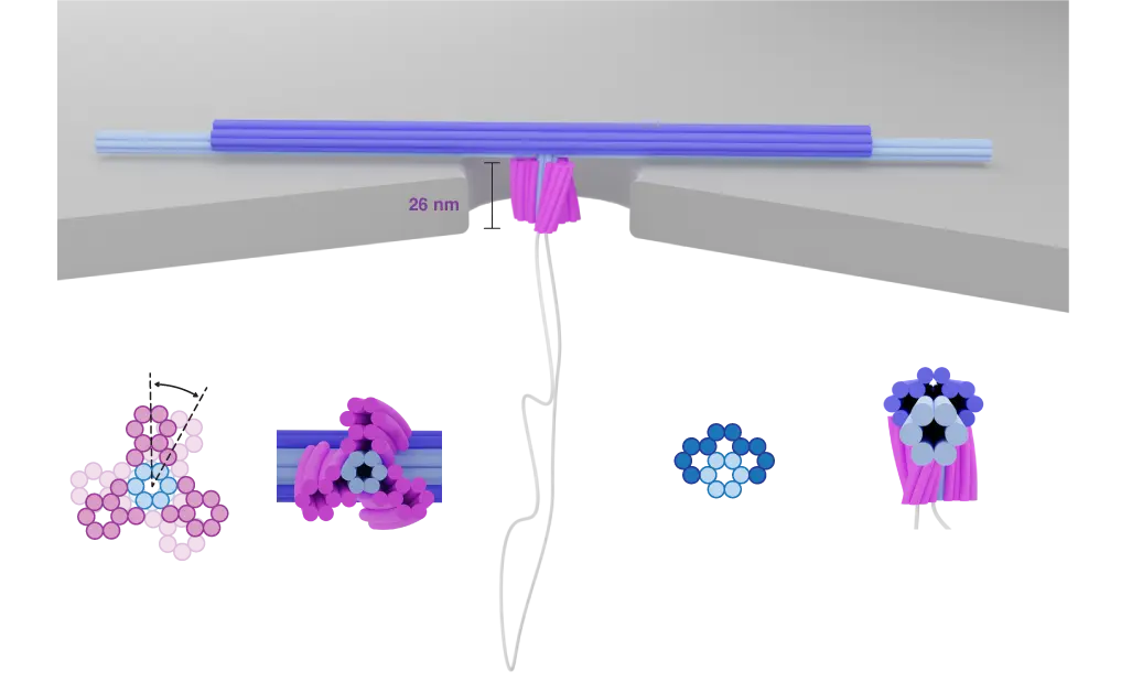 DNA turbine